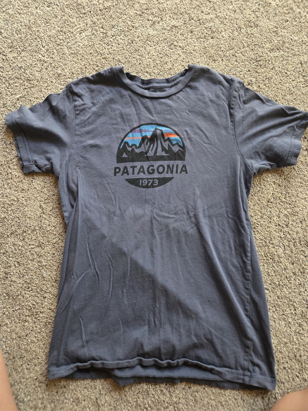 Patagonia Tee